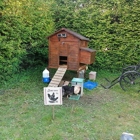 Chambre De L'Oree Du Bois Audeux Exteriér fotografie